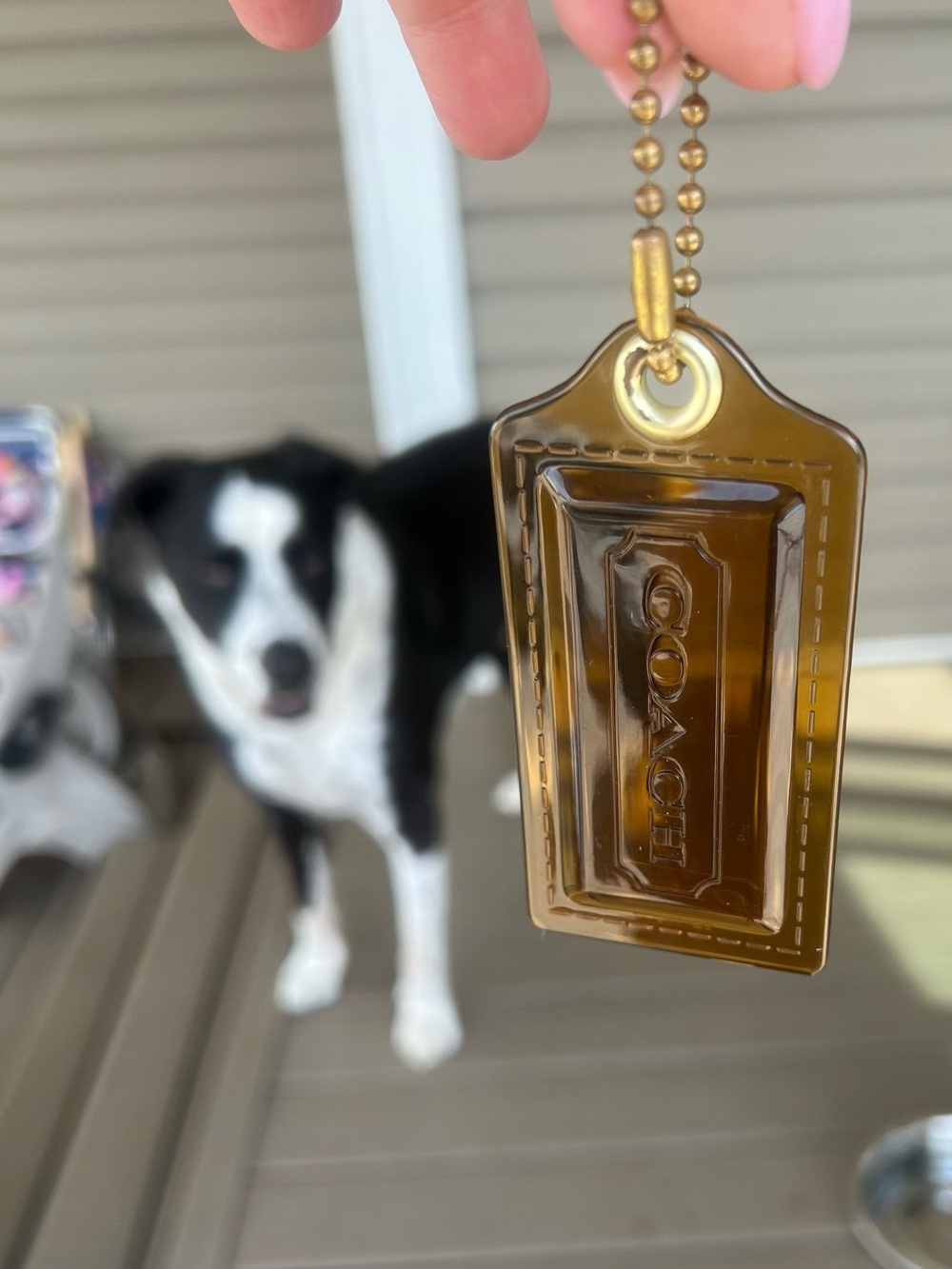Coach Clear Brown/Gold Hangtag Key Chain - Picture 3 of 7